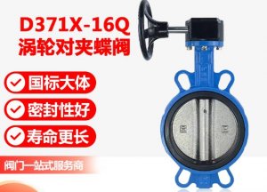 涡轮蝶阀D371x-1.6- DN150结构剖析图